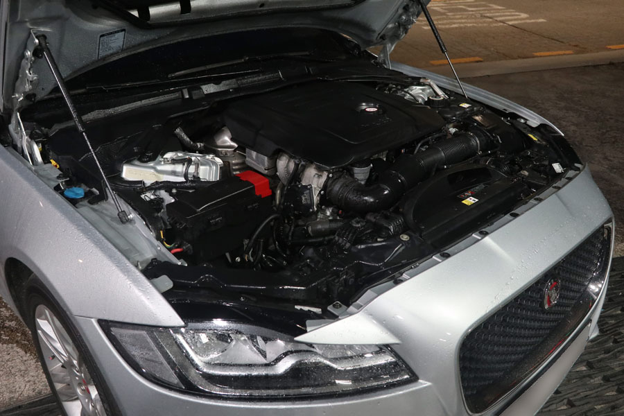 000 IMG 6272