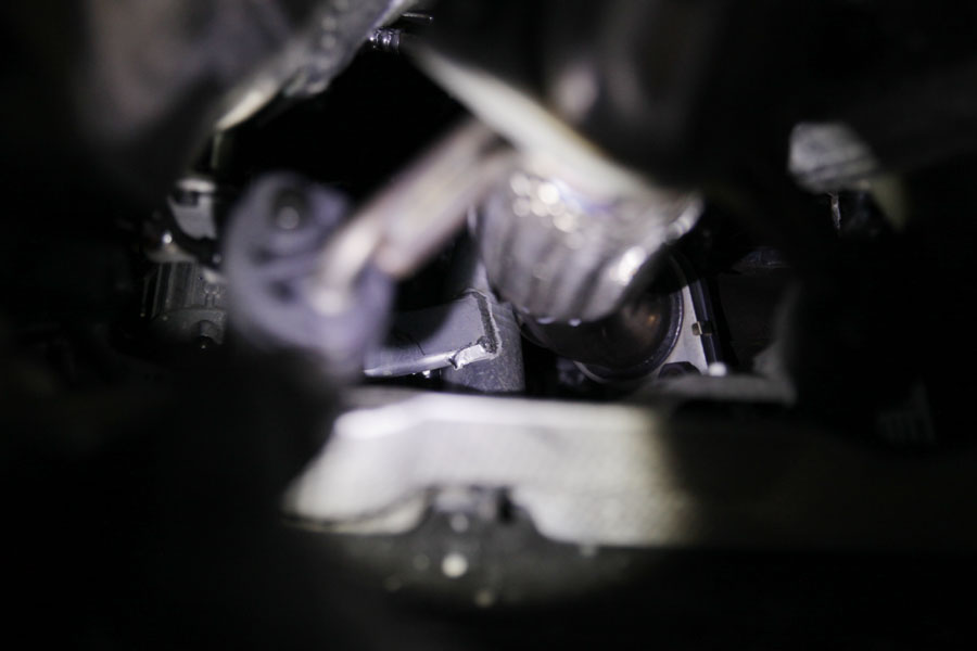 010 IMG 4426
