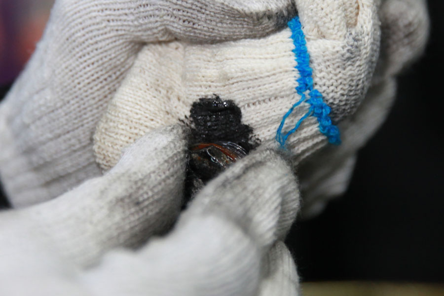 3.3 터보 제네시스 G80 스포츠 엔진오일 교체 꾸준하게 합성유로 6 006 IMG 7096