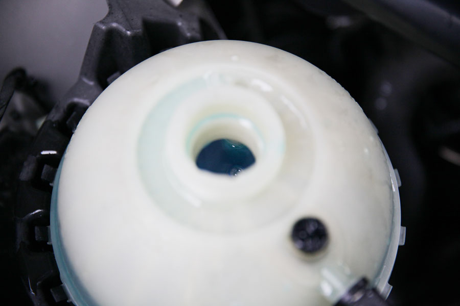 024 IMG 5948